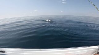 Salalah Fishing Part 1 - морская рыбалка в Salalah Oman первые выезды с берега и катера