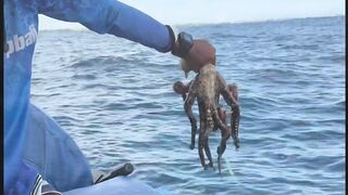 Bali Fishing Trip - морская рыбалка на Бали с выходом к рифам Индийского океана на лодке