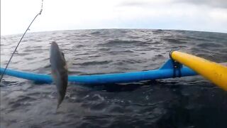 Bali Fishing Trip - морская рыбалка на Бали с выходом к рифам Индийского океана на лодке