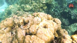 Таиланд 2024 Ko Haa и Ko Rok затерянные острова Андаманского моря с рифами и есть ли тут рыбалка