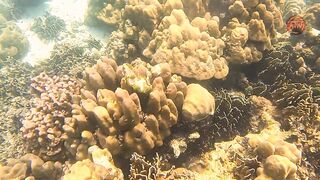 Таиланд 2024 Ko Haa и Ko Rok затерянные острова Андаманского моря с рифами и есть ли тут рыбалка