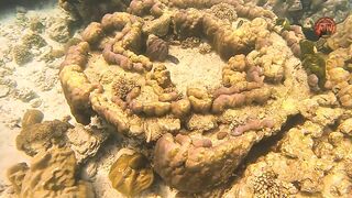 Таиланд 2024 Ko Haa и Ko Rok затерянные острова Андаманского моря с рифами и есть ли тут рыбалка