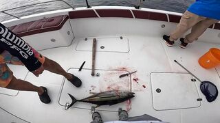 Fujairah эпическая морская рыбалка в Fujairah за yellowfin tuna с катера Etihad Fishing Boat