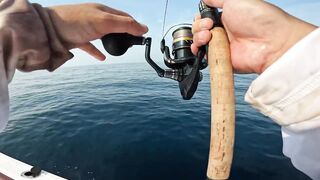 Fujairah эпическая морская рыбалка в Fujairah за yellowfin tuna с катера Etihad Fishing Boat