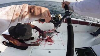 Fujairah эпическая морская рыбалка в Fujairah за yellowfin tuna с катера Etihad Fishing Boat