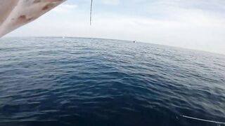 Fujairah эпическая морская рыбалка в Fujairah за yellowfin tuna с катера Etihad Fishing Boat