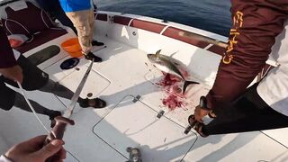 Fujairah эпическая морская рыбалка в Fujairah за yellowfin tuna с катера Etihad Fishing Boat