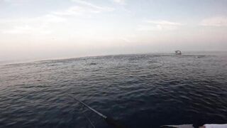 Fujairah эпическая морская рыбалка в Fujairah за yellowfin tuna с катера Etihad Fishing Boat