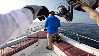Fujairah эпическая морская рыбалка в Fujairah за yellowfin tuna с катера Etihad Fishing Boat