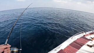 Fujairah эпическая морская рыбалка в Fujairah за yellowfin tuna с катера Etihad Fishing Boat