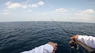 Fujairah эпическая морская рыбалка в Fujairah за yellowfin tuna с катера Etihad Fishing Boat