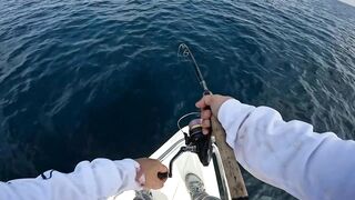 Fujairah эпическая морская рыбалка в Fujairah за yellowfin tuna с катера Etihad Fishing Boat