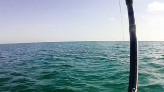 Cayo Santa Maria Cuba рыбалка на сапборде paddleboard у рифов и пляжей острова в тёплом море