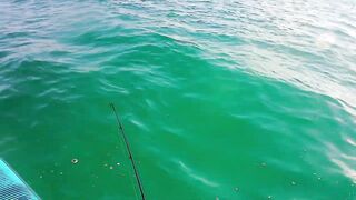 Cayo Santa Maria Cuba рыбалка на сапборде paddleboard у рифов и пляжей острова в тёплом море