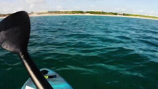 Cayo Santa Maria Cuba рыбалка на сапборде paddleboard у рифов и пляжей острова в тёплом море
