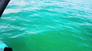 Cayo Santa Maria Cuba рыбалка на сапборде paddleboard у рифов и пляжей острова в тёплом море