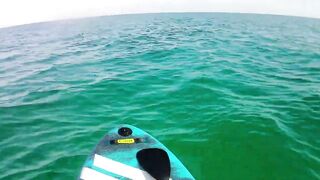 Cayo Santa Maria Cuba рыбалка на сапборде paddleboard у рифов и пляжей острова в тёплом море