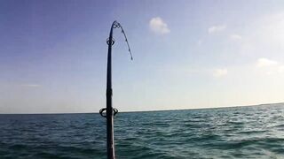 Cayo Santa Maria Cuba рыбалка на сапборде paddleboard у рифов и пляжей острова в тёплом море