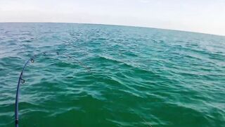 Cayo Santa Maria Cuba рыбалка на сапборде paddleboard у рифов и пляжей острова в тёплом море