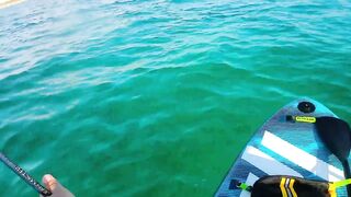 Cayo Santa Maria Cuba рыбалка на сапборде paddleboard у рифов и пляжей острова в тёплом море