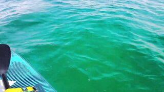 Cayo Santa Maria Cuba рыбалка на сапборде paddleboard у рифов и пляжей острова в тёплом море