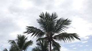 Boca Chica любимый пляж доминиканцев и почему местные так любят проводить здесь выходные у моря