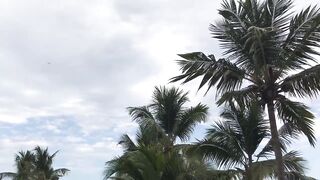 Boca Chica любимый пляж доминиканцев и почему местные так любят проводить здесь выходные у моря