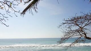 Playa Matapalo Costa Rica тихий пляж джунгли вокруг и сильная волна Тихого океана у берега