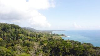 Playa Matapalo Costa Rica тихий пляж джунгли вокруг и сильная волна Тихого океана у берега