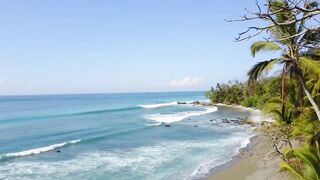 Playa Matapalo Costa Rica тихий пляж джунгли вокруг и сильная волна Тихого океана у берега