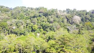 Playa Matapalo Costa Rica тихий пляж джунгли вокруг и сильная волна Тихого океана у берега