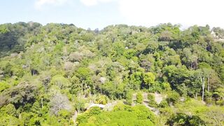 Playa Matapalo Costa Rica тихий пляж джунгли вокруг и сильная волна Тихого океана у берега
