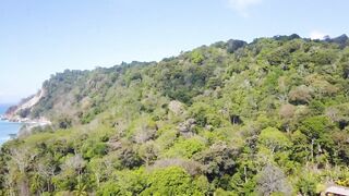 Playa Matapalo Costa Rica тихий пляж джунгли вокруг и сильная волна Тихого океана у берега