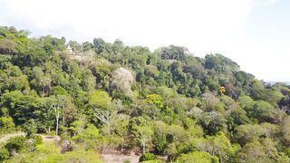 Playa Matapalo Costa Rica тихий пляж джунгли вокруг и сильная волна Тихого океана у берега