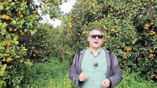 Гюзельюрт и Газиверен Северный Кипр правда о низких ценах на недвижимость и скрытых нюансах районов