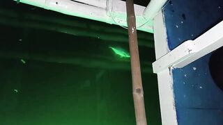 Морская рыбалка на Mactan Island Cebu ночная ловля у огней города и лодок Филиппин