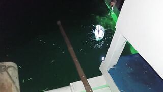 Морская рыбалка на Mactan Island Cebu ночная ловля у огней города и лодок Филиппин