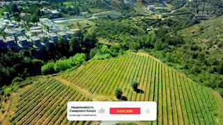 Алсанджак пригород Кирении Северный Кипр спокойная жизнь у моря и инфраструктура для переезда