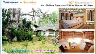 Zanzibar: обзор отеля Unguja Lodge в Kizimkazi тихий отдых у океана вдали от шумных курортов