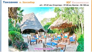 Zanzibar: обзор отеля Unguja Lodge в Kizimkazi тихий отдых у океана вдали от шумных курортов