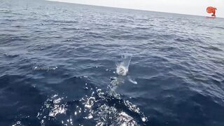 Глубинная рыбалка в океане за rosy snapper тяжёлые снасти и борьба с рыбой на большой глубине