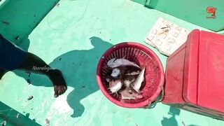 Глубинная рыбалка в океане за rosy snapper тяжёлые снасти и борьба с рыбой на большой глубине