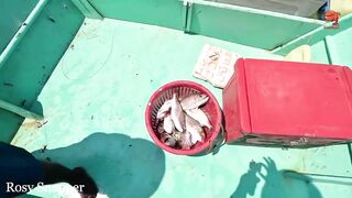 Глубинная рыбалка в океане за rosy snapper тяжёлые снасти и борьба с рыбой на большой глубине