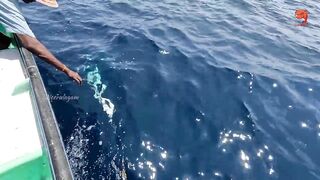 Глубинная рыбалка в океане за rosy snapper тяжёлые снасти и борьба с рыбой на большой глубине