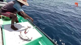 Глубинная рыбалка в океане за rosy snapper тяжёлые снасти и борьба с рыбой на большой глубине