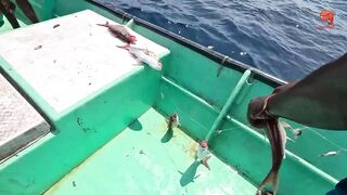 Глубинная рыбалка в океане за rosy snapper тяжёлые снасти и борьба с рыбой на большой глубине