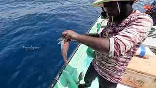 Глубинная рыбалка в океане за rosy snapper тяжёлые снасти и борьба с рыбой на большой глубине