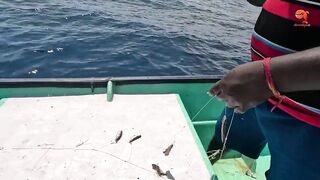 Глубинная рыбалка в океане за rosy snapper тяжёлые снасти и борьба с рыбой на большой глубине