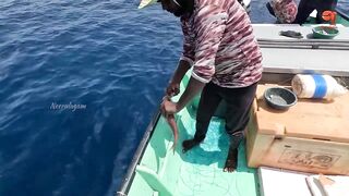 Глубинная рыбалка в океане за rosy snapper тяжёлые снасти и борьба с рыбой на большой глубине