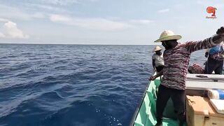 Глубинная рыбалка в океане за rosy snapper тяжёлые снасти и борьба с рыбой на большой глубине